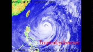 Super Typhoon Tip 1979 [upl. by Nuahsyd757]