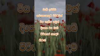 නිවන් දකින්න කාලය පැමිණ ඇත nibbana quotes dhammadesana [upl. by Olympie]