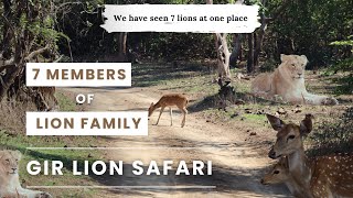 Jungle Safari I Sasan Gir I Lion Family  Gir National Park [upl. by Naleek]