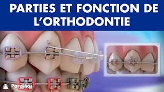 Appareil dentaire – Parties et fonction de l’orthodontie © [upl. by Roderic]