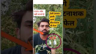 भंग से करें कीट नियंत्रण agriculture farming organicfarmingshortsviral [upl. by Jamaal]