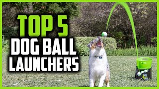 ✅ Top 5 Best Dog Ball Launchers in 2024 [upl. by Tannie683]