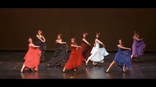 Flamenco  quotBailandoquot ShakallisDance2014 [upl. by Ayanej]