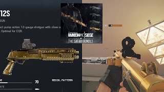 Rainbow Six how to get the Gold camo skin 2021 [upl. by Cawley]