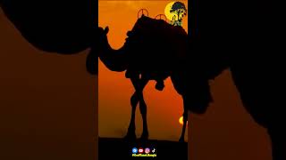 সবচেয়ে বড় মরুভূমি কোনটি  GeoPlanet geoplanet desert unknownfacts [upl. by Sixel]