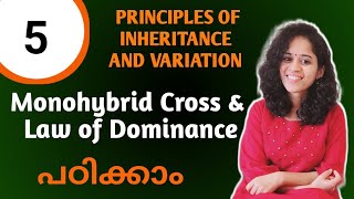 MONOHYBRID CROSS PRINCIPLES OF INHERITANCE AND VARIATION NCERT NEET BIOLOGY 12 MALAYALAM [upl. by Yenetruoc905]