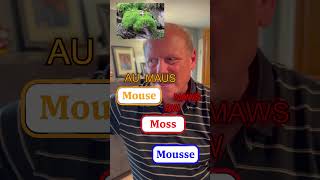 Mouse Vs Moss Vs Mousse [upl. by Bagger]