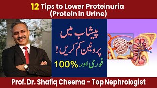 12 Tips to Lower proteinuria  100 Urine protein reduction [upl. by Ymmij]