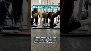 Banded Fire Hydrants gluteexercises bandexercises fitnessmotivation glutegains [upl. by Tufts]