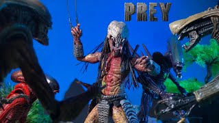 Feral Predator vs Razor Claw Alien Chrysails alien Arachnoid alien scorpion alien an epic battle [upl. by Latoya]