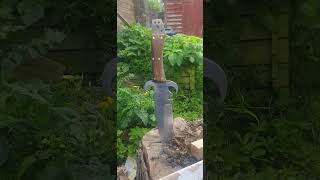 garden knife [upl. by Enoj]