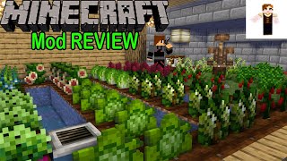 Pams HarvestCraft mod Review  La mejor comida de Minecraft  Minercaft ESPAÑOL 1122 [upl. by Eugor]