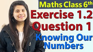 Q 1  Ex 12  Knowing Our Numbers  Chapter 1  Class 6th NCERT Maths [upl. by Dorolisa]