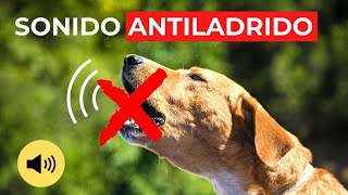 Callar Perro que Ladra Mucho 🐕 Sonido Antiladridos Perros [upl. by Danny732]