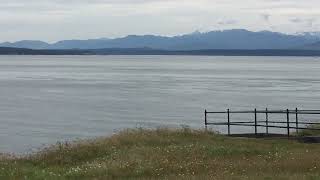 Orcas at Fort Casey [upl. by Hilarius]