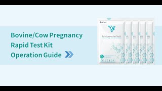 AniEasy  Bovine pregnancy rapid test 1 Pack [upl. by Oigres577]