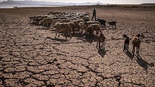 Maroc  lagriculture plombée par la sécheresse et linflation [upl. by Lenz]