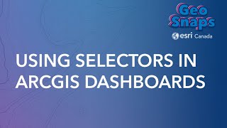 Using Selectors in ArcGIS Dashboards [upl. by Annaek389]