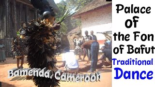 Traditional Dance at the Palace of the Fon of Bafut Bamenda Cameroon My quotRootsquot Journey [upl. by Alba848]