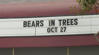 Bears in Trees Roxy Marquee Sunset Blvd Los Angeles California USA October 26 2024 [upl. by Nyrahs]