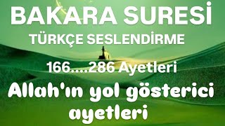 Bakara Suresi Kuranın Kalbi Türkçe Seslendirmeli kuran bakarasuresi quran kurankerim ayet [upl. by Idner]