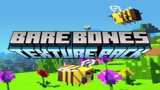 Bare Bones Texture Pack Minecraft pe 116 [upl. by Krischer]