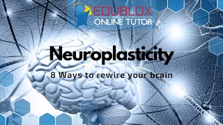 Neuroplasticity 8 Ways to Rewire Your Brain [upl. by Verger]