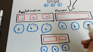 Isolating Synthetic Agglutinative and Fusional [upl. by Mika]