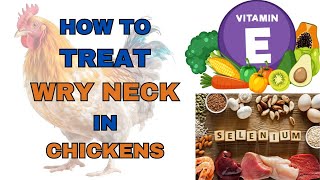 How To Treat Wry Neck in Chickens [upl. by Hartzke]