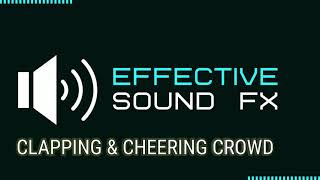 Clapping amp Cheering Crowd  Sound Effect HD [upl. by Pippa]