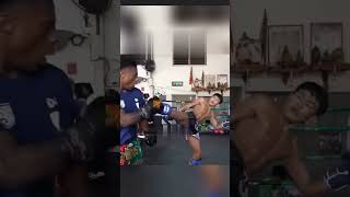 Speed challenged mauy thai fighter [upl. by Zizaludba]