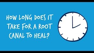 How Long Does It Take for a Root Canal to Heal [upl. by Ynnep]