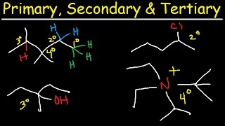 Primary Secondary Tertiary amp Quarternary Hydrogen and Carbon Atoms [upl. by Arocet]