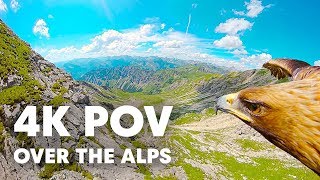 Breathtaking Eagle POV Flying Over The Alps in 4K [upl. by Ede]