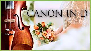 Canon in D  Violin Play Along shorts [upl. by Nnahtur]