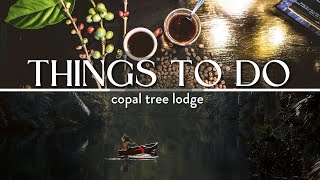 Things to Do in Belize  Copal Tree Lodge  Luxury EcoLodge Punta Gorda [upl. by Pardoes]