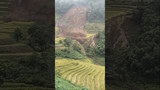 Landslide flood in village dumray travel flood landslidevillage shorts dumray [upl. by Zerep]