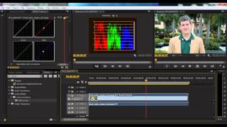 Premiere Pro Remove Moire with Digital Anarchy Beauty Box [upl. by Inalem761]