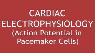 Cardiac Electrophysiology Action Potential in Pacemaker Cells ENGLISH  Dr Shikha Parmar [upl. by Hillel]