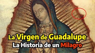 Un MILAGRO que no podrás creer la Historia de la Virgen de Guadalupe Palabra de Dios [upl. by Garber779]