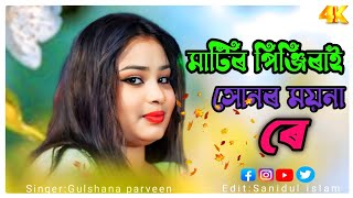 আমার মাটির পিঞ্জিরাই সোনার ময়না রে👆New Bangla Song Singer Gulshana parbin [upl. by Laeria]