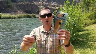 How to Properly Pinch a Barbed Hook on a Trout Fly [upl. by Assilac]