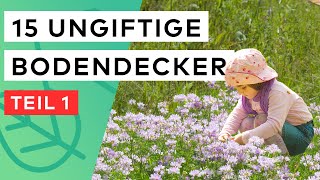 15 Bodendecker NICHT GIFTIG 🌸 Perfekt für Kinder amp Tiere im Garten 🐈 🧒🏼  Teil 1 [upl. by Lanevuj]