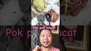 POK POK LONCAT frog reptiles shorts shortvideo [upl. by Ydnarb]