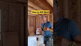 How to Kill Mold [upl. by Ocirred]