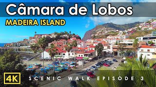 Camara de Lobos Madeira Portugal  4K Virtual Walking Tour  Beautiful natural sound walk [upl. by Aramoj305]