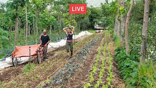 AGRICOLTURA RIGENERATIVA e AGROFORESTAZIONE Con Matteo Mazzola 🔴 [upl. by Hoffarth]