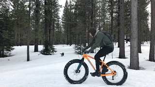 Specialized FatBoy FatTire Bike Review [upl. by Nonah]