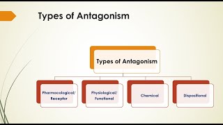 General Pharmacology  Drug Antagonism amp its Types [upl. by Massimo]