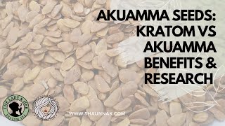 Akuamma Seeds Kratom vs Akuamma Benefits amp Research [upl. by Drusi]